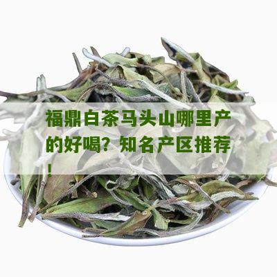 福鼎白茶马头山哪里产的好喝？知名产区推荐！