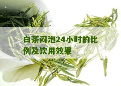 白茶闷泡24小时的比例及饮用效果