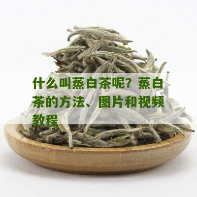 什么叫蒸白茶呢？蒸白茶的方法、图片和视频教程