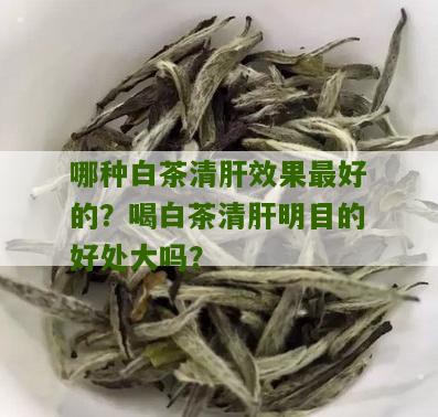 哪种白茶清肝效果最好的？喝白茶清肝明目的好处大吗？