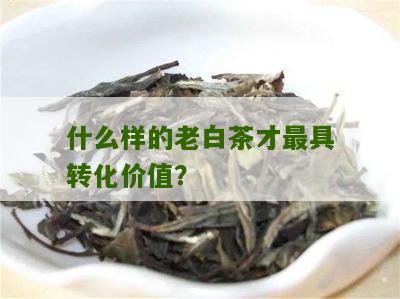 什么样的老白茶才最具转化价值？