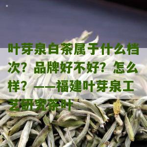 叶芽泉白茶属于什么档次？品牌好不好？怎么样？——福建叶芽泉工艺研究茶叶