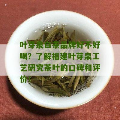 叶芽泉白茶品牌好不好喝？了解福建叶芽泉工艺研究茶叶的口碑和评价！