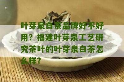 叶芽泉白茶品牌好不好用？福建叶芽泉工艺研究茶叶的叶芽泉白茶怎么样？