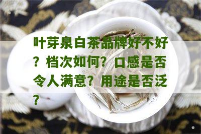 叶芽泉白茶品牌好不好？档次如何？口感是否令人满意？用途是否泛？