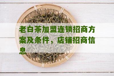 老白茶加盟连锁招商方案及条件，店铺招商信息