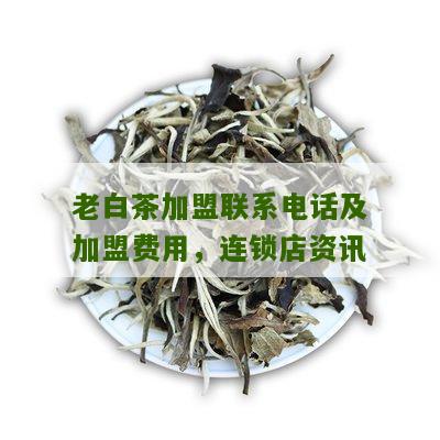 老白茶加盟联系电话及加盟费用，连锁店资讯