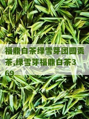 福鼎白茶绿雪芽团圆贡茶,绿雪芽福鼎白茶369