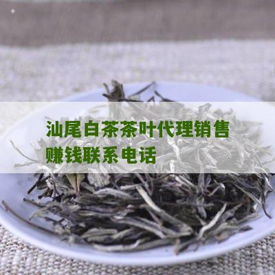 汕尾白茶茶叶代理销售赚钱联系电话