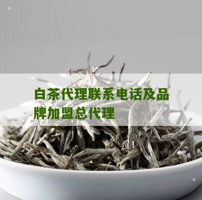 白茶代理联系电话及品牌加盟总代理