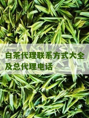 白茶代理联系方式大全及总代理电话