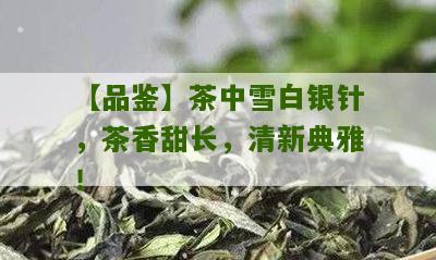 【品鉴】茶中雪白银针，茶香甜长，清新典雅！