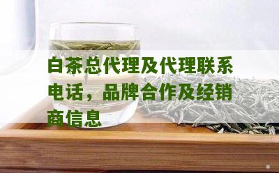 白茶总代理及代理联系电话，品牌合作及经销商信息