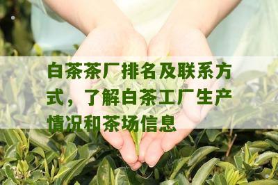 白茶茶厂排名及联系方式，了解白茶工厂生产情况和茶场信息