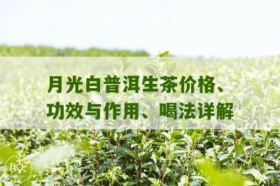 月光白普洱生茶价格、功效与作用、喝法详解