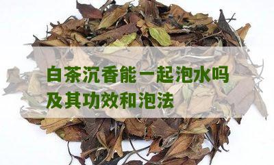 白茶沉香能一起泡水吗及其功效和泡法