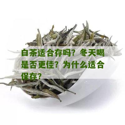 白茶适合存吗？冬天喝是否更佳？为什么适合保存？