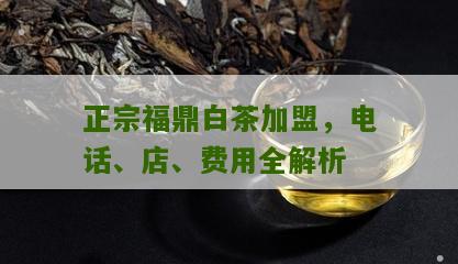 正宗福鼎白茶加盟，电话、店、费用全解析