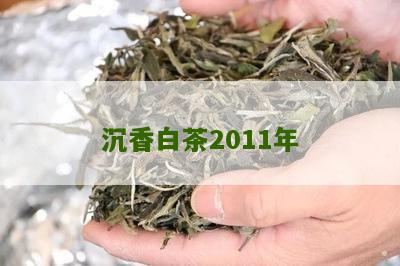 沉香白茶2011年