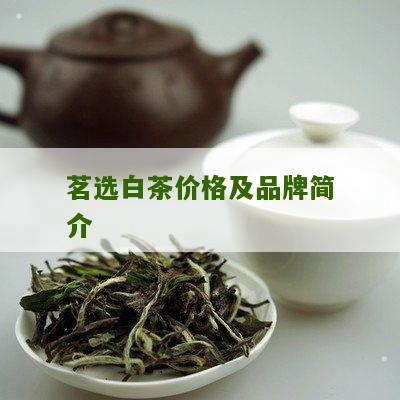 茗选白茶价格及品牌简介