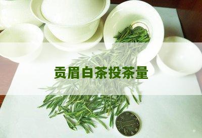 贡眉白茶投茶量