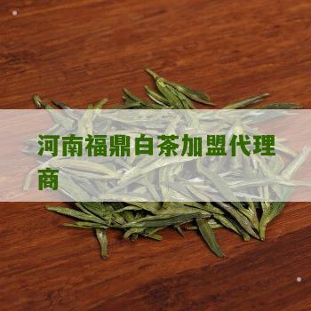 河南福鼎白茶加盟代理商