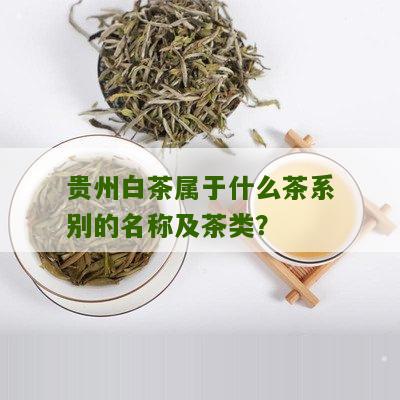 贵州白茶属于什么茶系别的名称及茶类？