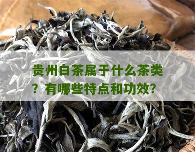 贵州白茶属于什么茶类？有哪些特点和功效？