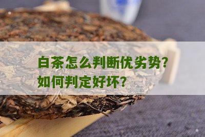 白茶怎么判断优劣势？如何判定好坏？