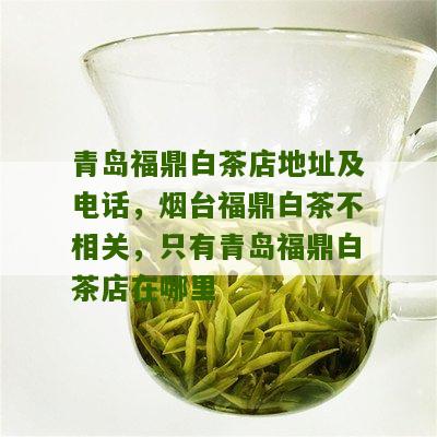 青岛福鼎白茶店地址及电话，烟台福鼎白茶不相关，只有青岛福鼎白茶店在哪里