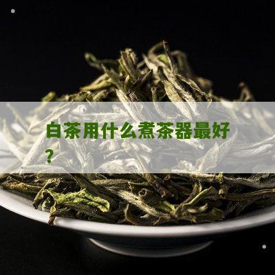 白茶用什么煮茶器最好？