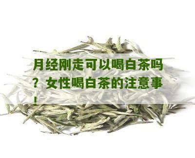 月经刚走可以喝白茶吗？女性喝白茶的注意事！