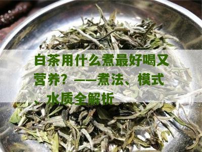 白茶用什么煮最好喝又营养？——煮法、模式、水质全解析