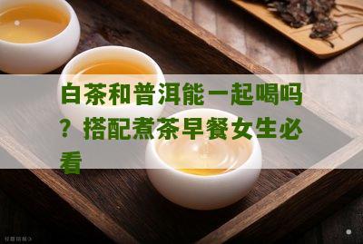 白茶和普洱能一起喝吗？搭配煮茶早餐女生必看