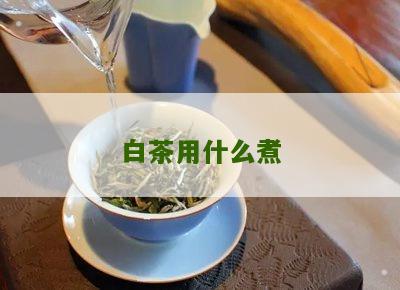 白茶用什么煮