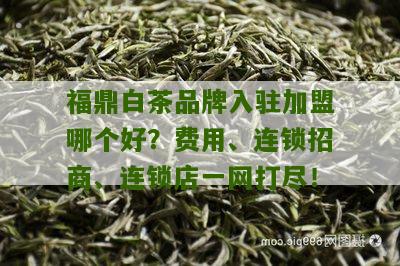 福鼎白茶品牌入驻加盟哪个好？费用、连锁招商、连锁店一网打尽！