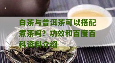 白茶与普洱茶可以搭配煮茶吗？功效和百度百科资料介绍