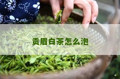 贡眉白茶怎么泡