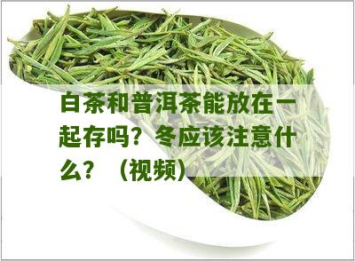 白茶和普洱茶能放在一起存吗？冬应该注意什么？（视频）