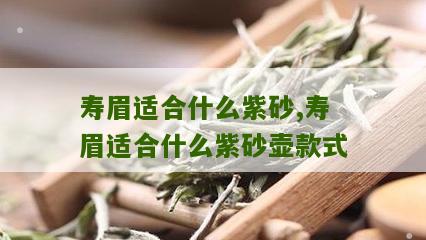 寿眉适合什么紫砂,寿眉适合什么紫砂壶款式