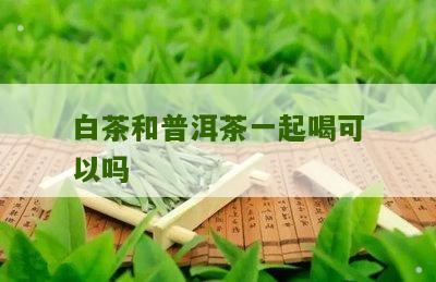 白茶和普洱茶一起喝可以吗