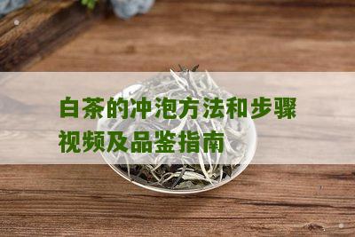 白茶的冲泡方法和步骤视频及品鉴指南