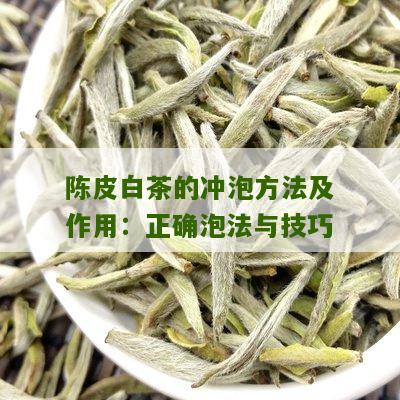 陈皮白茶的冲泡方法及作用：正确泡法与技巧