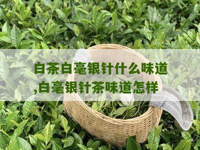 白茶白毫银针什么味道,白毫银针茶味道怎样