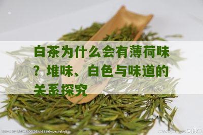 白茶为什么会有薄荷味？堆味、白色与味道的关系探究