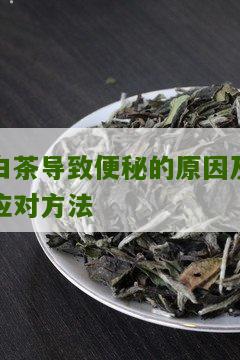 白茶导致便秘的原因及应对方法