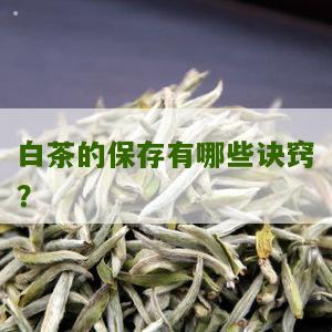 白茶的保存有哪些诀窍？