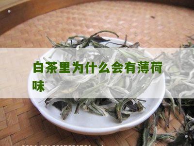 白茶里为什么会有薄荷味