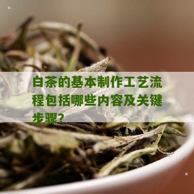 白茶的基本制作工艺流程包括哪些内容及关键步骤？