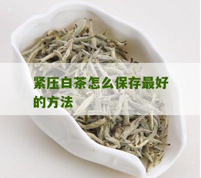 紧压白茶怎么保存最好的方法